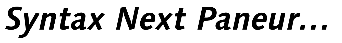 Syntax Next Paneuropean Bold Italic